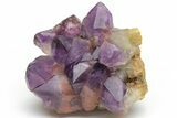 Deep Purple Amethyst Crystal Cluster - DR Congo #223271-2